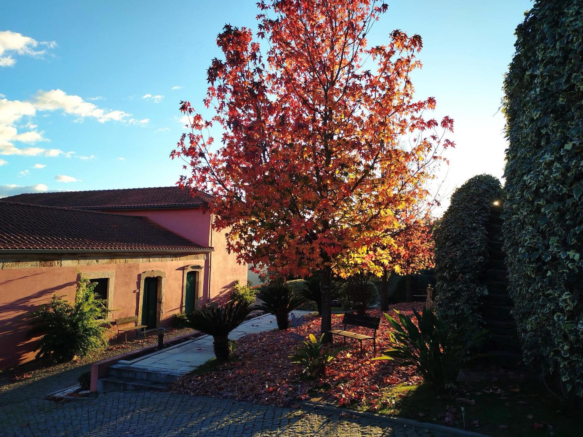 Villa Quinta De Baixo à Vila Marim Extérieur photo
